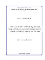 Mối quan hệ giữa rủi ro tín dụng và lợi nhuận ngân hàng, bằng chứng thực nghiệm của các ngân hàng thương mại việt nam 