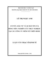 Cổ tức, đầu tư và sự bất ổn của dòng tiền, nghiên cứu thực nghiệm tại các công ty niêm yết trên hose 