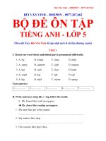 Tiếng Anh: Ôn tập Tiếng anh lớp 5, Bùi Văn Vinh