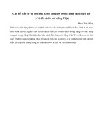 Các kết cấu tỷ dụ có chức năng tả người trong tiếng Hán hiện đại ( Có đối chiếu với tiếng Việt)