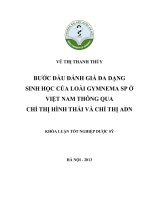 bước đầu đánh giá đa dạng sinh học của loài gymnema sp ở việt nam thông qua chỉ thị hình thái và chỉ thị adn 