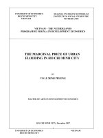 Maginal price of urban flooding in ho chi minh city 