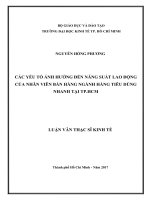 Các yếu tố ảnh hưởng đến năng suất lao động của nhân viên bán hàng ngành hàng tiêu dùng nhanh tại tp  hồ chí minh 