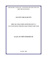 Hiệu quả hoạt động kinh doanh của các ngân hàng thương mại cổ phần Việt Nam