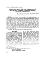 Nghiên cứu tính đa hình gen FCN2 và nồng độ Protein Ficolin-2 huyết thanh ở bệnh nhân sốt xuất huyết Dengue