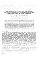 Hình thành năng lực ứng dụng công nghệ thông tin cho sinh viên ngành giáo dục tiểu học trong dạy học môn Lịch sử và Địa lí ở trường Đại học Tây Nguyên