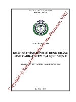 Khảo sát tình hình sử dụng kháng sinh CARBAPENEM tại bệnh viện E