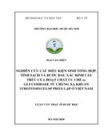 nghiên cứu các điều kiện sinh tổng hợp, tinh sạch và bước đầu xác định cấu trúc của hoạt chất ức chế  glucosidase từ chủng xạ khuẩn streptomyces sp phân lập ở việt nam 