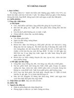 phác đồ điều trị nhi hội chứng fallot