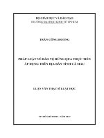 Pháp luật về bảo vệ rừng qua thực tiễn áp dụng trên địa bàn tỉnh cà mau 