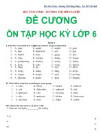 Tiếng Anh: Ôn thi Học kỳ I lớp 6 thí điểm, Bùi Văn Vinh