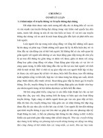 Tiểu luận cao học, môn chính trị học nâng cao ,VAI TRÒ của TRUYỀN THÔNG đại CHÚNG TRONG KIỂM SOÁT QUYỀN lực NHÀ nước ở VIỆT NAM HIỆN NAY