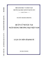 Quản lý nợ xấu tại ngân hàng Thương mại Việt Nam (Luận án Tiến sĩ)