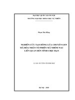 Nghiên cứu tạo dòng lúa chuyển gen mã hóa nhân tố phiên mã nhóm NAC liên quan đến tính chịu hạn   