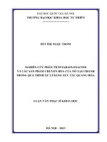 Nghiên cứu phân tích sarafloxacin và các sản  phẩm chuyển hóa của nó tạo thành trong quá  trình xử lí bằng xúc tác quang hóa 