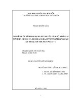 Nghiên cứu tính đa dạng di truyền của bò nuôi tại tỉnh hà giang và bò hoang dã ở việt nam bằng các kỹ thuật di truyền phân tử 001 