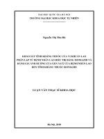 Khảo sát tính kháng thuốc của vi khuẩn lao phân lập từ bệnh nhân lao điều trị bằng isoniazid và đánh giá ảnh hưởng của gen nat2 của bệnh nhân lao đến tính kháng thuốc isoniazid  