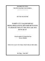 Nghiên cứu loại bỏ khí H2S trong biogas bằng hỗn hợp Bentonite và Zeolite thải từ Nhà máy Lọc dầu Dung Quất