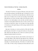 Tiểu luận cao học Môn Chính trị học nâng cao xã hội dân sự ở việt nam – lý luận và thực tiễn