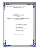 Tiểu luận nhập môn kinh tế quốc tế phân tích thực trạng của ngành xuất khẩu cao su tại việt nam 