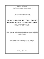 Nghiên cứu ứng xử của sàn rỗng vượt nhịp lớn bằng phương pháp phần tử hữu hạn