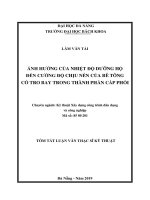 Ảnh hưởng của nhiệt độ dưỡng hộ đến cường độ chịu nén của bê tông có tro bay trong thành phần cấp phối
