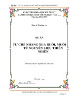 Đề tài nghiên cứu khoa học đạt giải cấp huyện