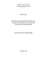 Bồi dưỡng học sinh giỏi Hóa học thông qua dạy học chuyên đề Phản ứng oxi hóa - khử ở trường trung học phổ thông