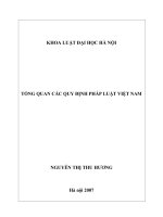 Tổng quan các quy định pháp luật Việt Nam : Luận văn ThS. Luật: 60.38.01