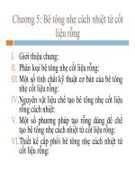 Bài giảng Công nghệ vật liệu cách nhiệt - Chương 5: Bê tông nhẹ cách nhiệt từ cốt liệu rỗng
