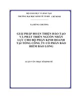 Giải pháp hoàn thiện đào tạo và phát triển nguồn nhân lực cho bộ phận kinh doanh tại tổng công ty cồ phần bảo hiểm bảo long 