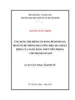 Ứng dụng thẻ điểm cân bằng để đánh giá, bổ sung hệ thống đo lường hiệu quả hoạt động của ngân hàng TMCP tiên phong   chi nhánh sài gòn 