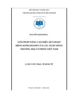 Giải pháp nâng cao hiệu quả hoạt động kinh doanh của các ngân hàng TMCP việt nam 