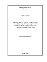 Những vấn đề lý luận và thực tiễn về các tội phạm về môi trường theo luật hình sự Việt Nam : Luận văn ThS. Luật: 60 38 40