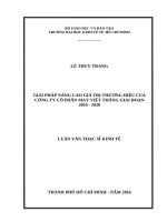 Giải pháp nâng cao giá trị thương hiệu của công ty cổ phần may việt thắng giai đoạn 2016   2020 