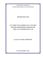 Các nhân tố tạo động lực làm việc trường hợp bộ phận kinh doanh công ty nutifood việt nam 