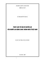 Pháp luật về bảo vệ quyền lợi của người lao động chưa thành niên ở Việt Nam : Luận văn ThS. Luật: 60 38 50