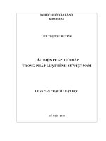 Các biện pháp tư pháp trong pháp luật hình sự Việt Nam : Luận văn ThS. Luật: 60 38 30