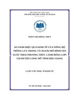 So sánh hiệu quả kinh tế của nông hộ trồng lúa trong và ngoài mô hình sản xuất theo phương thức cánh đồng lớn tại huyện long mỹ tỉnh hậu giang 