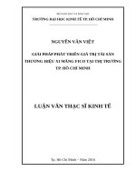 Giải pháp phát triển giá trị tài sản thương hiệu xi măng fico tại thị trường thành phố hồ chí minh 
