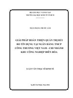 Giải pháp hoàn thiện quản trị rủi ro tín dụng tại ngân hàng TMCP công thương việt nam   chi nhánh khu công nghiệp biên hòa 
