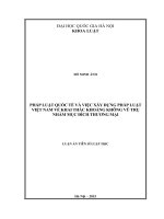 PHÁP LUẬT QUỐC TẾ VÀ VIỆC XÂY DỰNG PHÁP LUẬT VIỆT NAM VỀ KHAI THÁC KHOẢNG KHÔNG VŨ TRỤ NHẰM MỤC ĐÍCH THƢƠNG MẠI