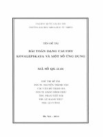 Bài toán dạng Cauchy Kovalepskaya và một số ứng dụng : Đề tài NCKH. QG.11.01