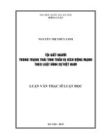 Tội giết người trong trạng thái tinh thần bị kích động mạnh theo Luật Hình sự Việt Nam