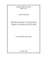 Tội gây rối trật tự công cộng trong luật hình sự Việt Nam