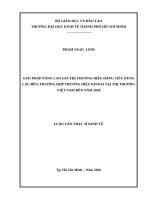 Giải pháp nâng cao giá trị thương hiệu hàng tiêu dùng lâu bền, trường hợp thương hiệu rinnai tại thị trường việt nam đến năm 2020 
