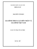 GIA ĐÌNH THEO LUẬT HÔN NHÂN VÀ GIA ĐÌNH VIỆT NAM