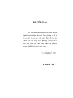 Pháp luật về cổ phần hóa ngân hàng thương mại nhà nước ở Việt Nam : Luận văn ThS. Luật: 60 38 50