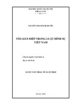 Tội gián điệp trong luật hình sự Việt Nam