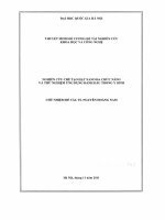 NGHIÊN CỨU CHÉ TẠO HẠT NANO ĐA CHỨC NĂNG VÀ THỬ NGHIỆM ỨNG DỤNG ĐÁNH DÁU TRONG Y SINH